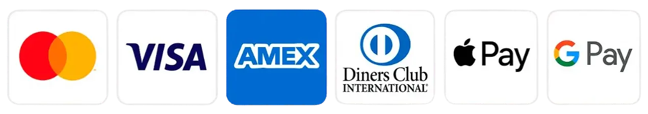 Visa payment options